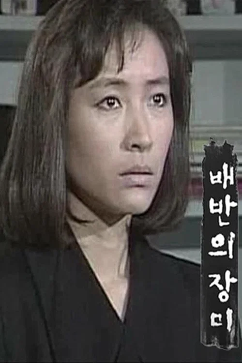 배반의 장미