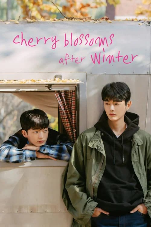 Cherry Blossoms After Winter