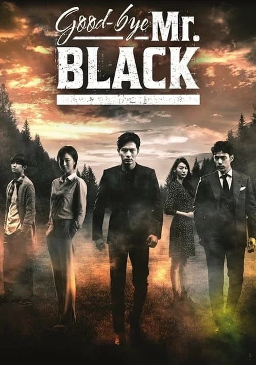 Goodbye Mr. Black
